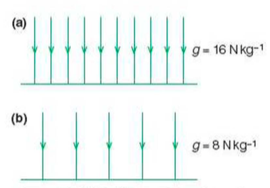 Gravitational Field