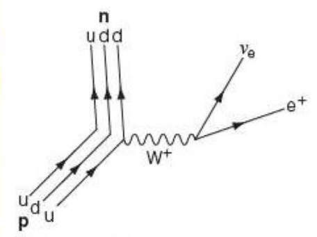 Baryon feynman diagram