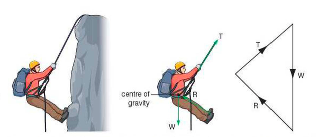 Free body diagram