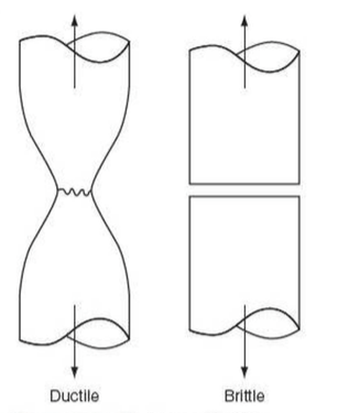 Hooke's Law