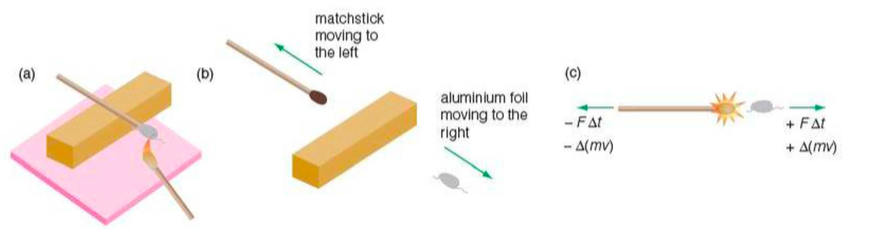 Conservation of linear momentum