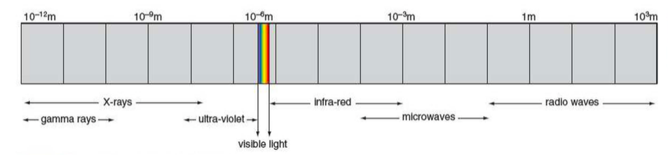 Longitudinal wave