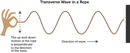 The Wave Equation