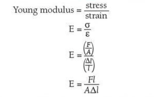 The Young modulus