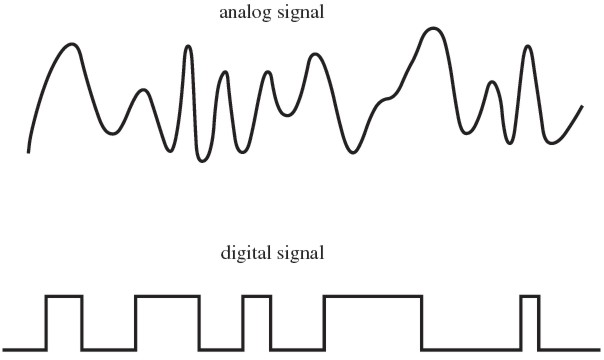 Analogue and digital signals