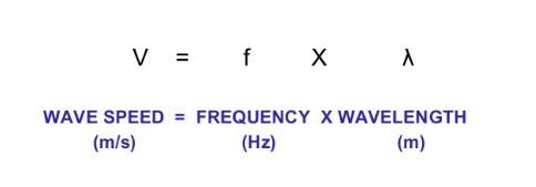 The wave equation