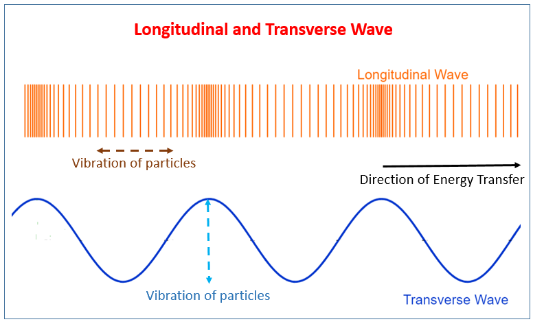 Transverse and longitudinal waves